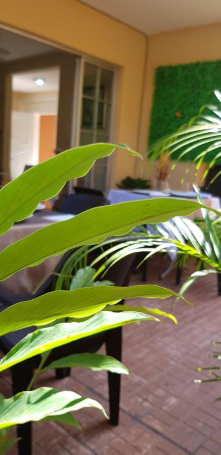 MH Boutique Hotel San Pedro Sula Extérieur photo